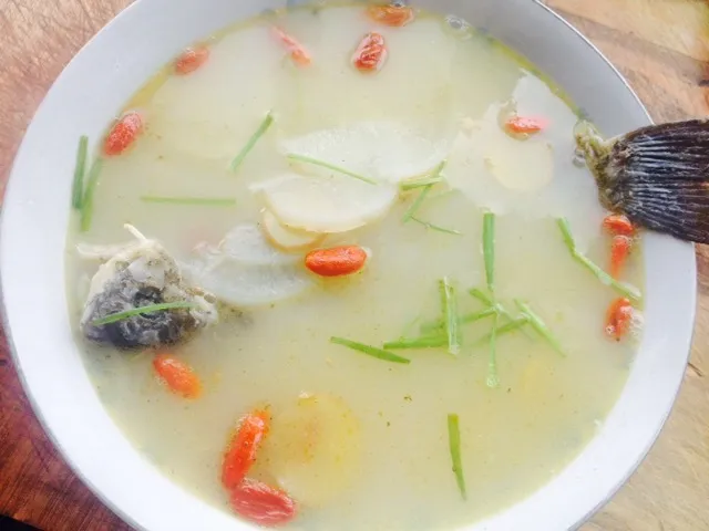 Crucian Carp Soup