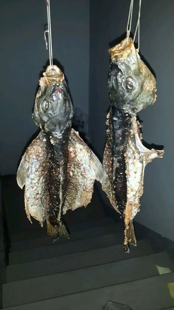 Pescado Seco