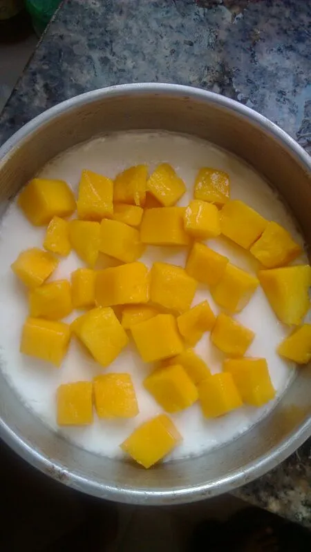 Mango Dessert