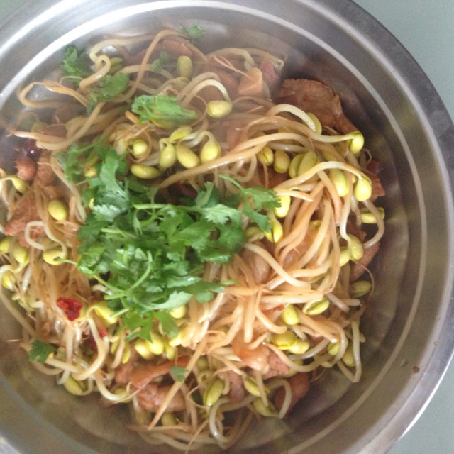 Bean Sprouts