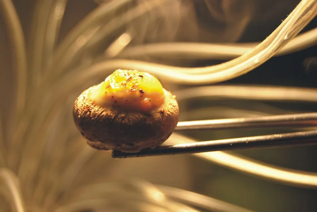 Quail Egg Roasted Mushroom