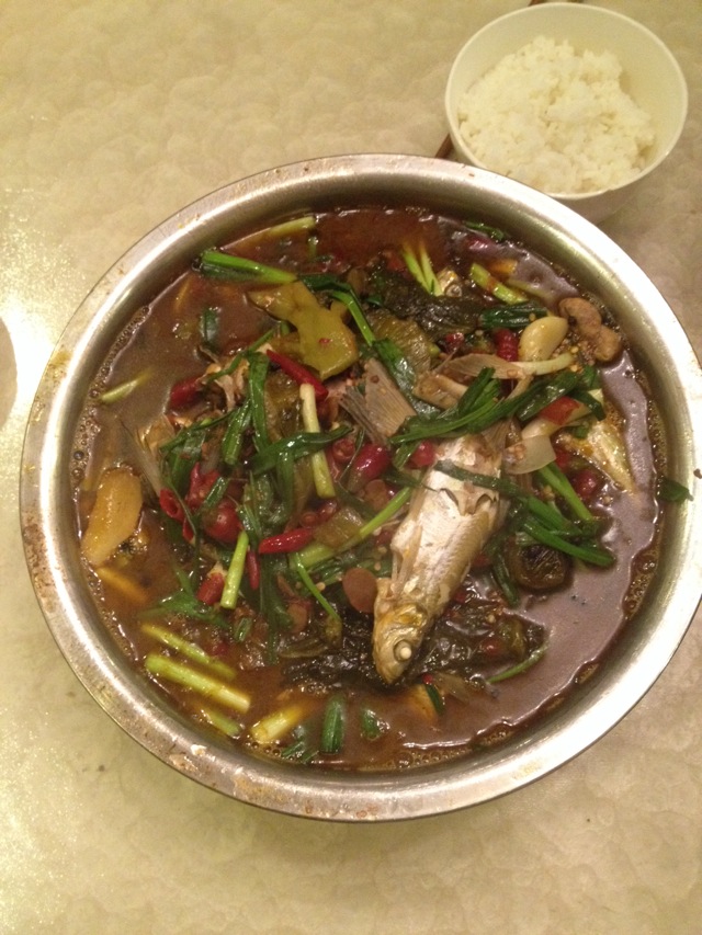 Fish
