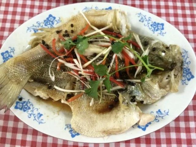Steamed Bass