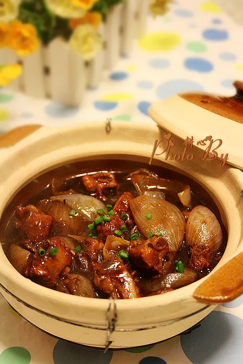 Braised Pork Ribs with Onions