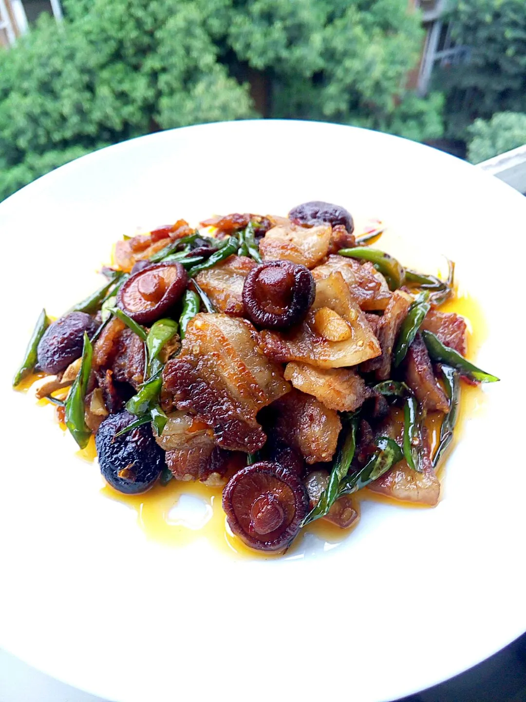 Stir-Fried Pork