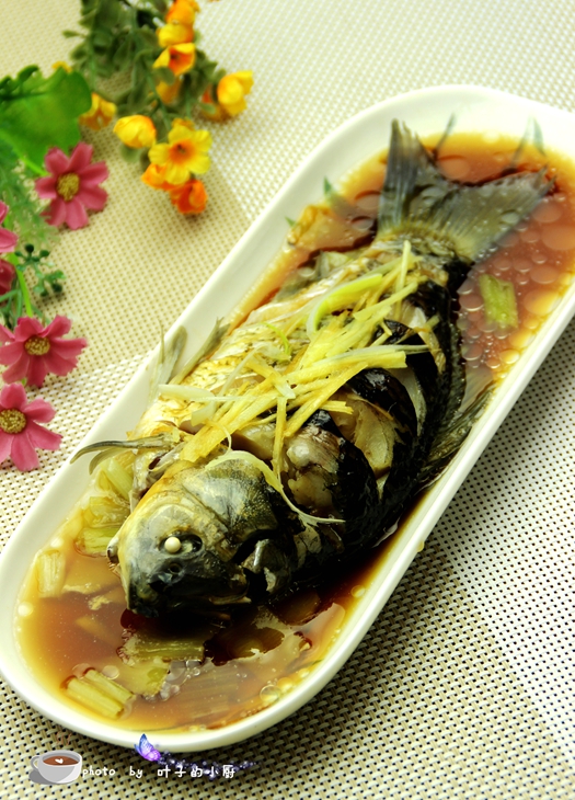 Crucian Carp