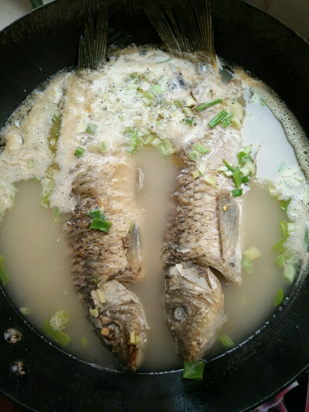 Soup