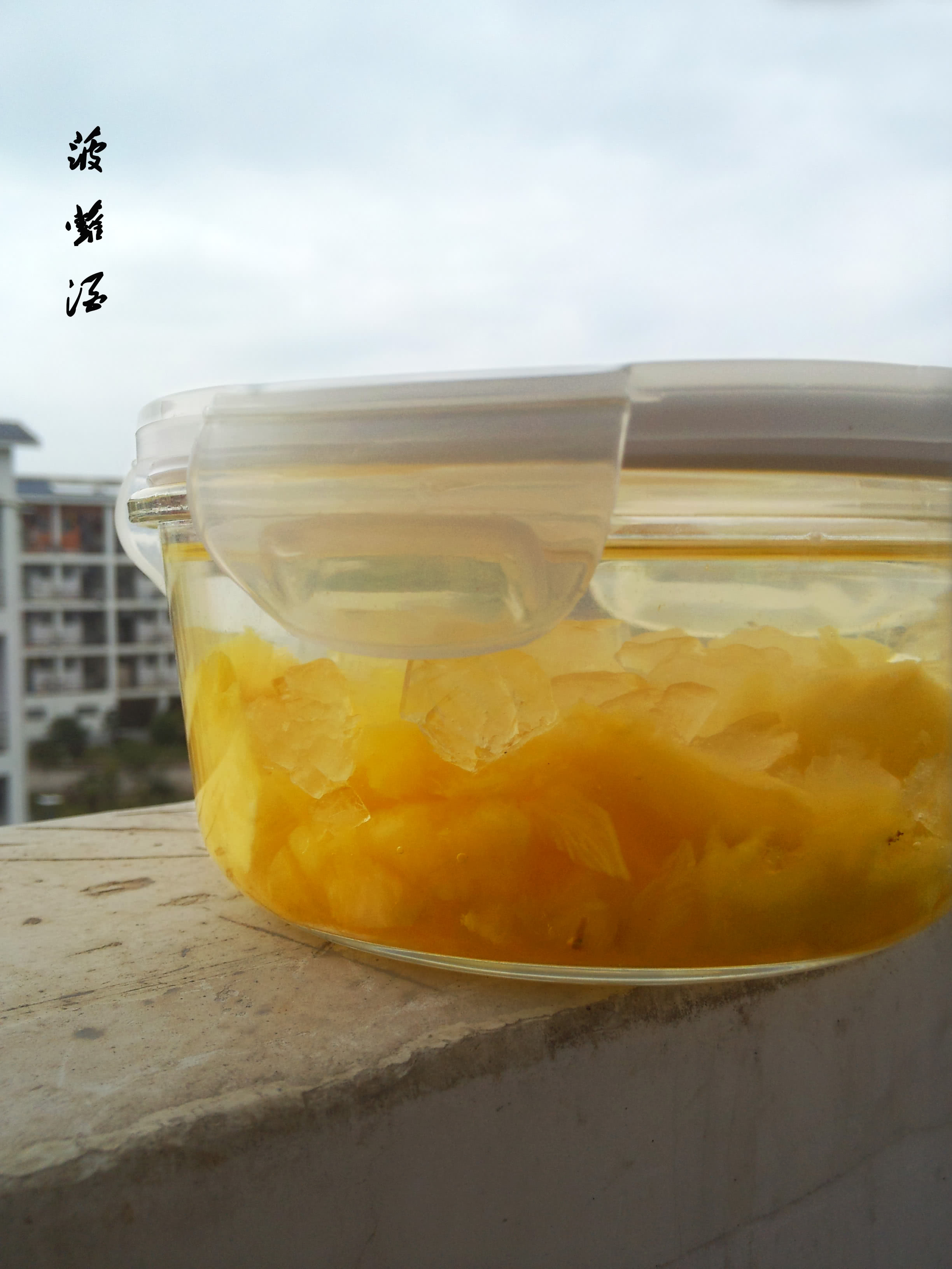 Recettes Rapides