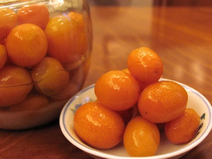 Salted Kumquat