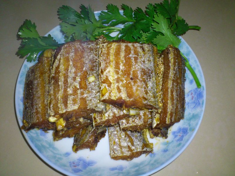Fish