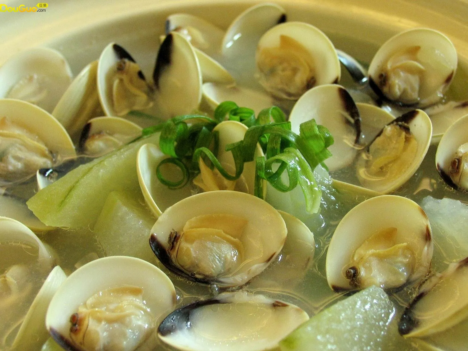 Clam and Winter Melon Soup