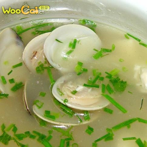 Soup