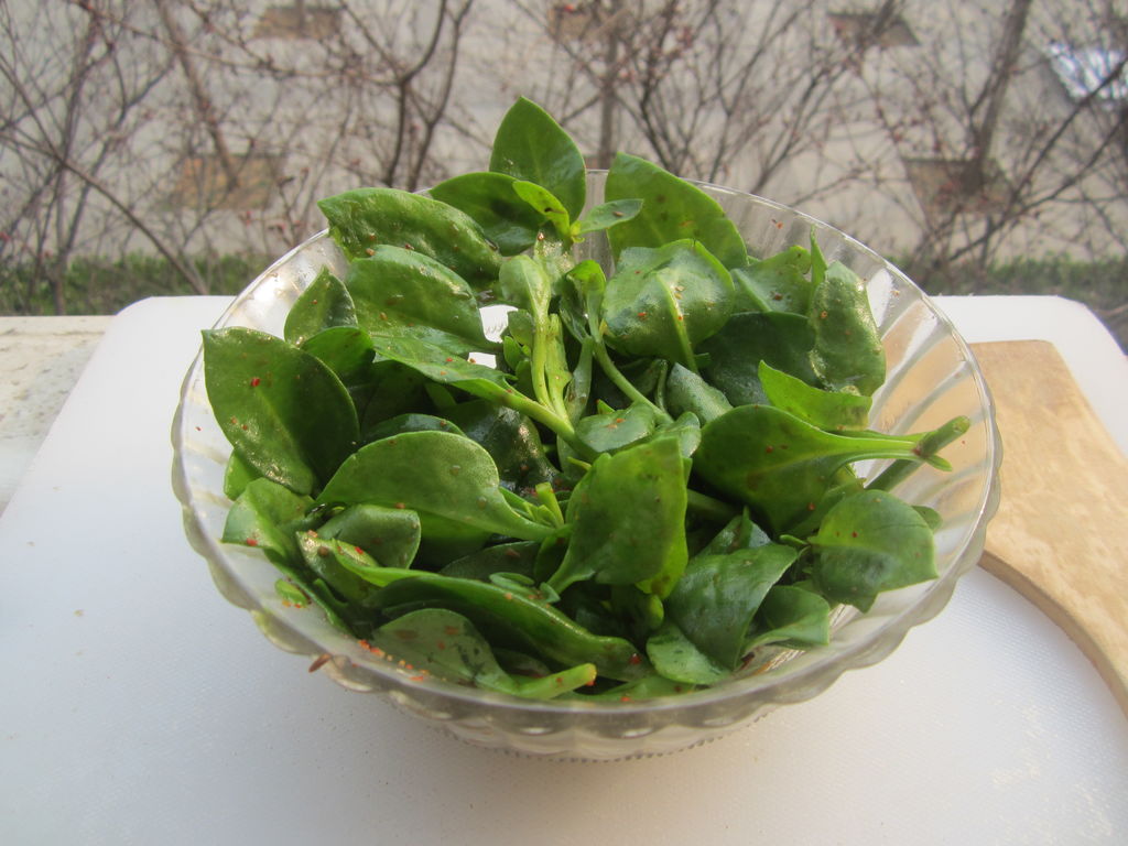 Poudre De Poivre