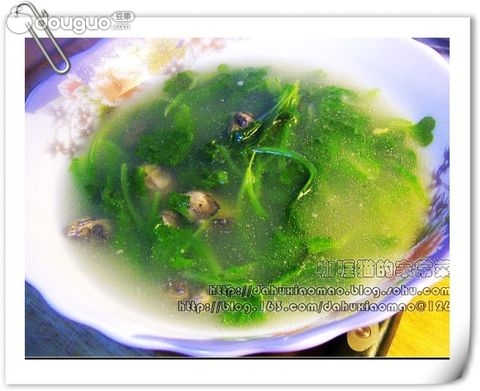 Soup