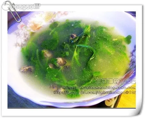 Pac Choi and Oyster Soup