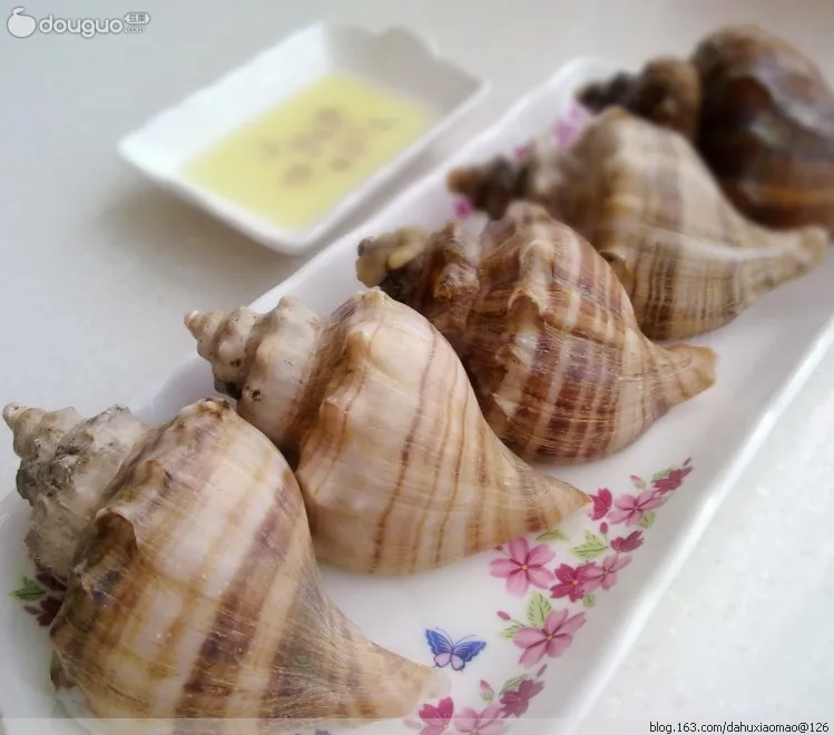Steamed Sea Snail