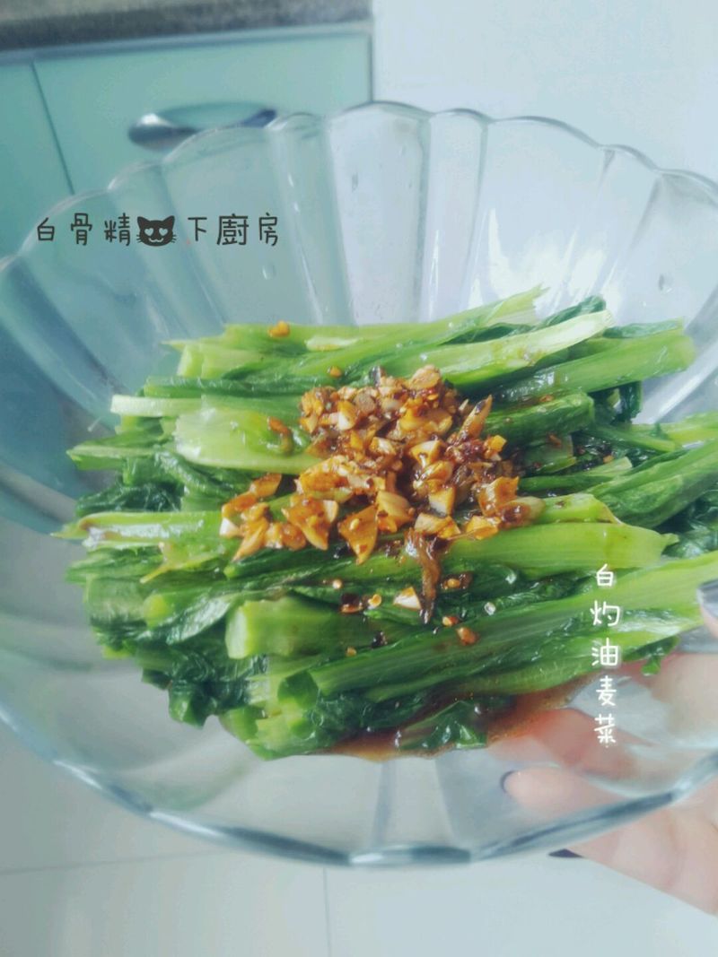 Scallion