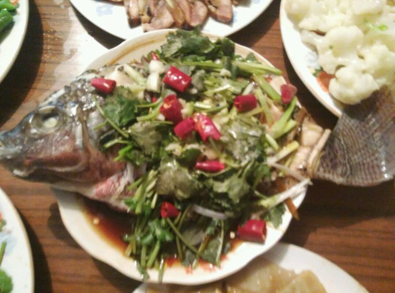 Fish