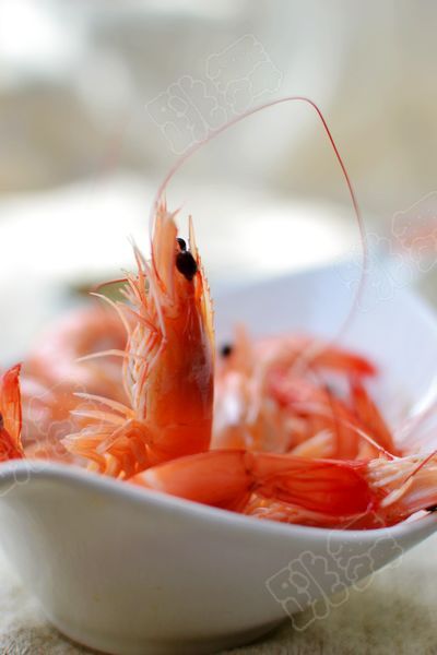 Shrimps