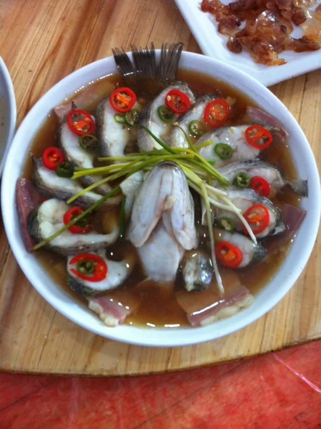 Steamed Carp
