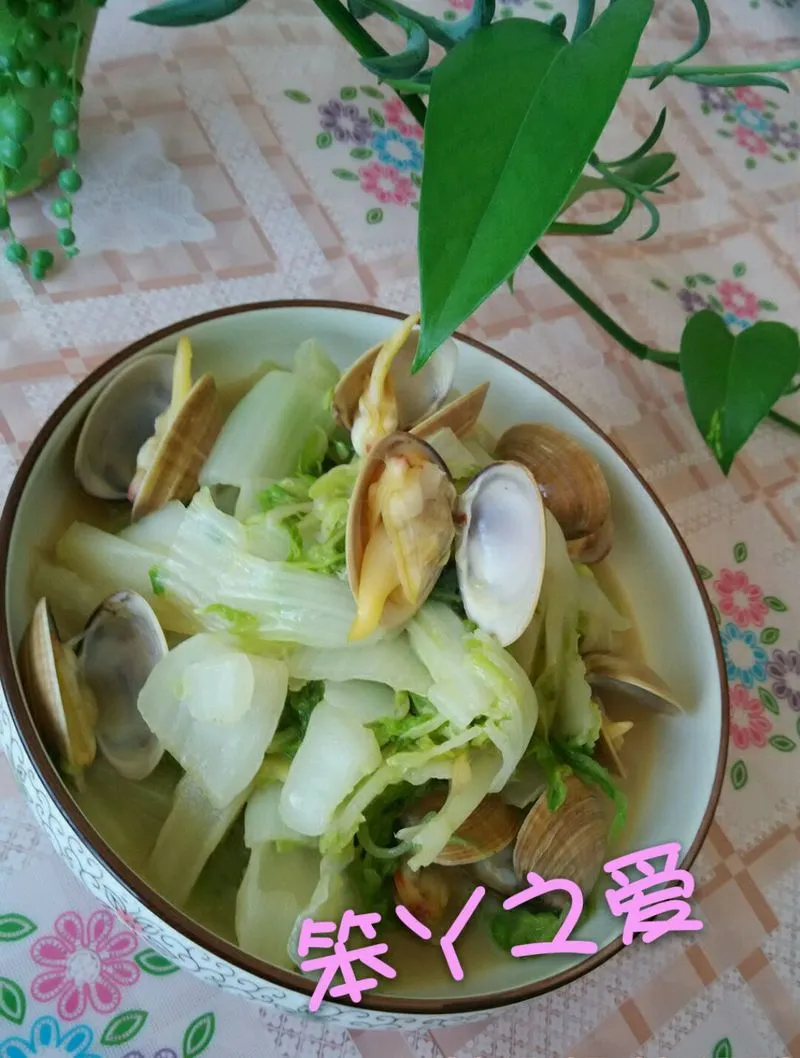 Clams and Napa Cabbage in Cream Sauce