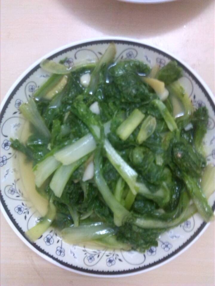 Chinese Cabbage