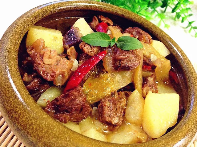 Sour Cabbage and Potato Beef Stew