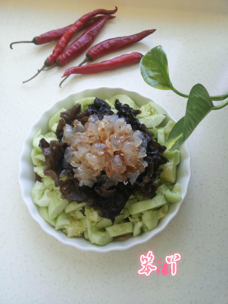 Recettes Rapides