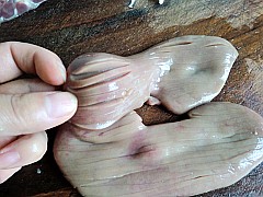 Step 5