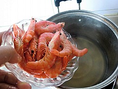 Step 8