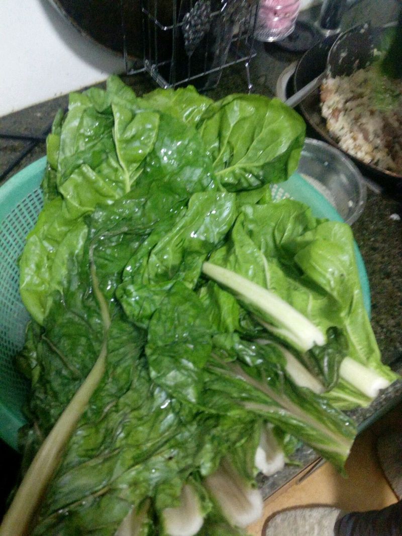 Step 8
