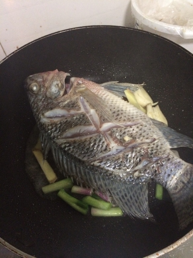 Step 5