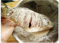 Step 6