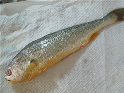 Step 3