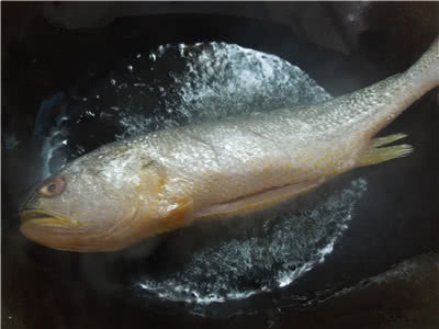 Step 5