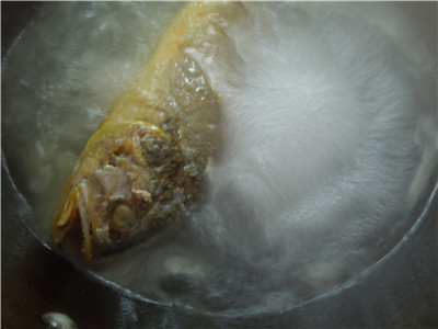 Step 7