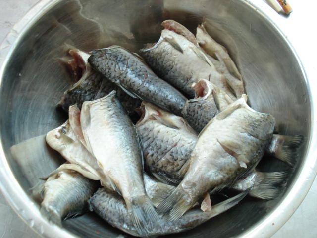 Step 1