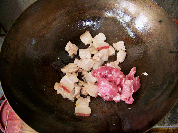 Step 5