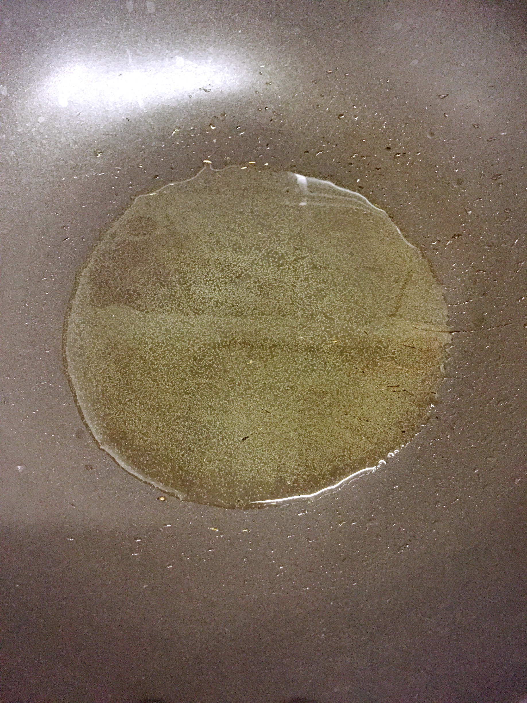 Step 5