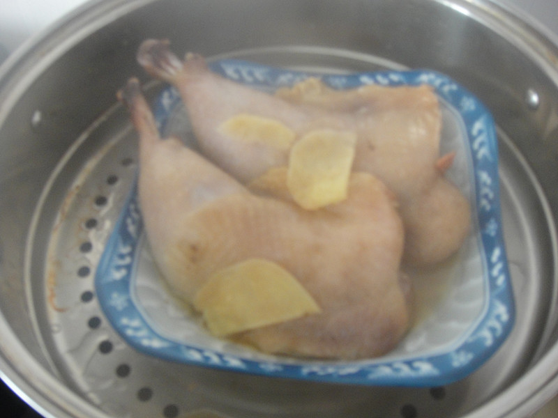 Step 12