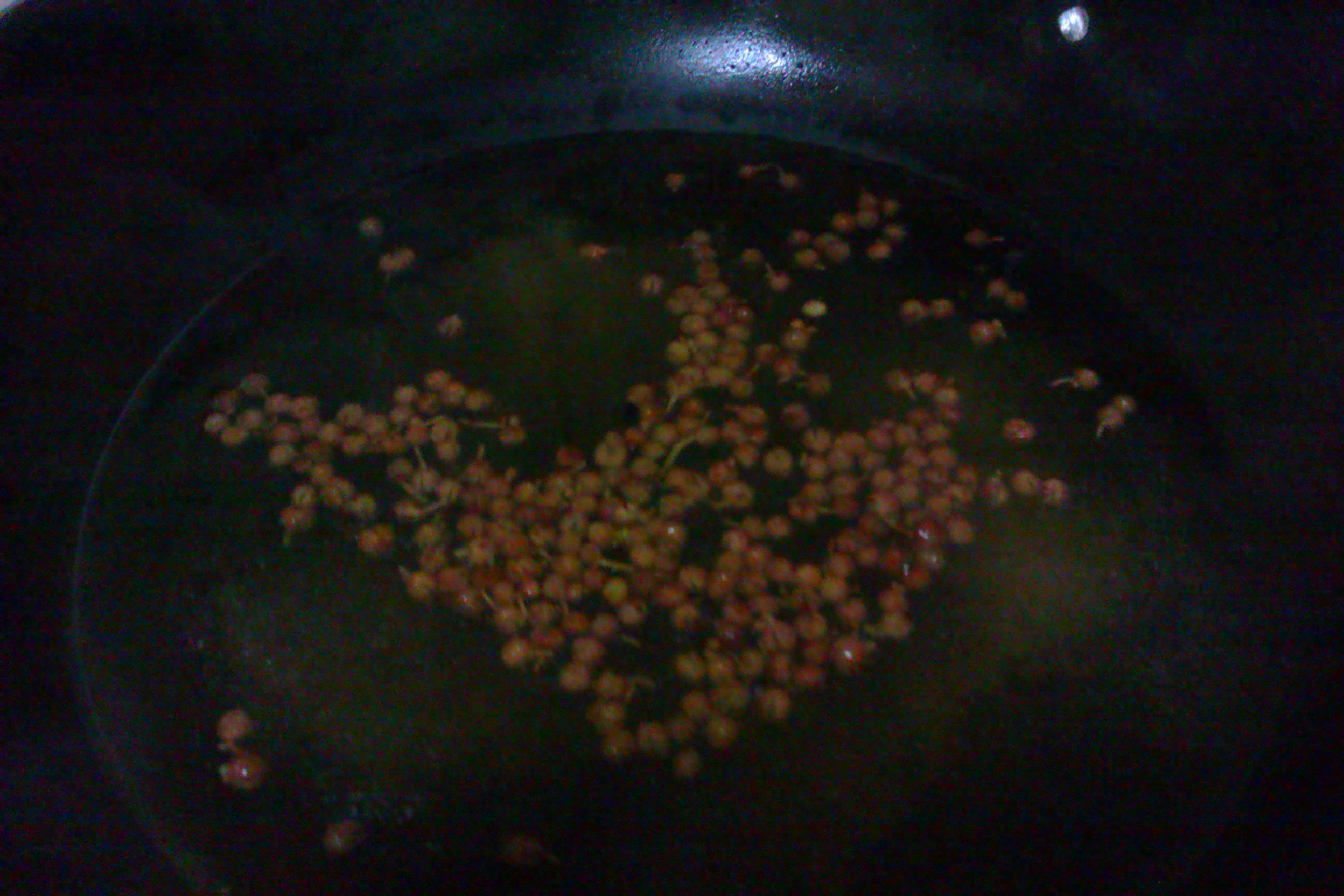 Step 2