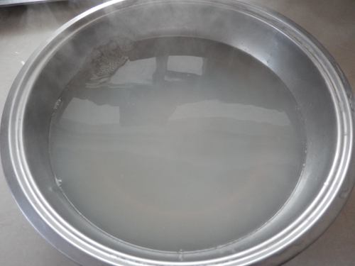 Step 6
