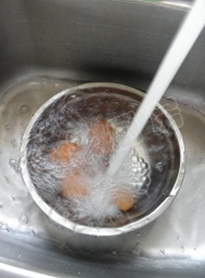 Step 15