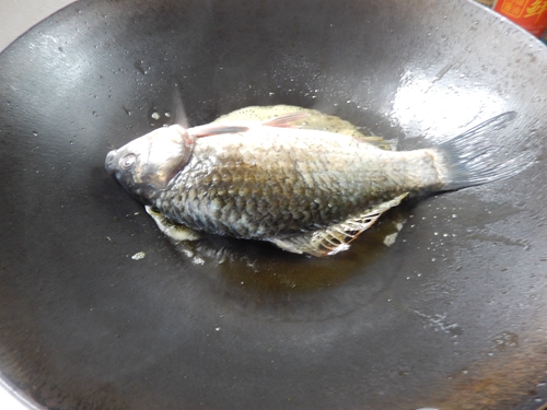 Step 5