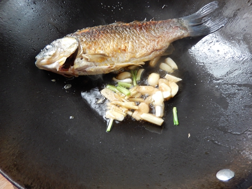 Step 7