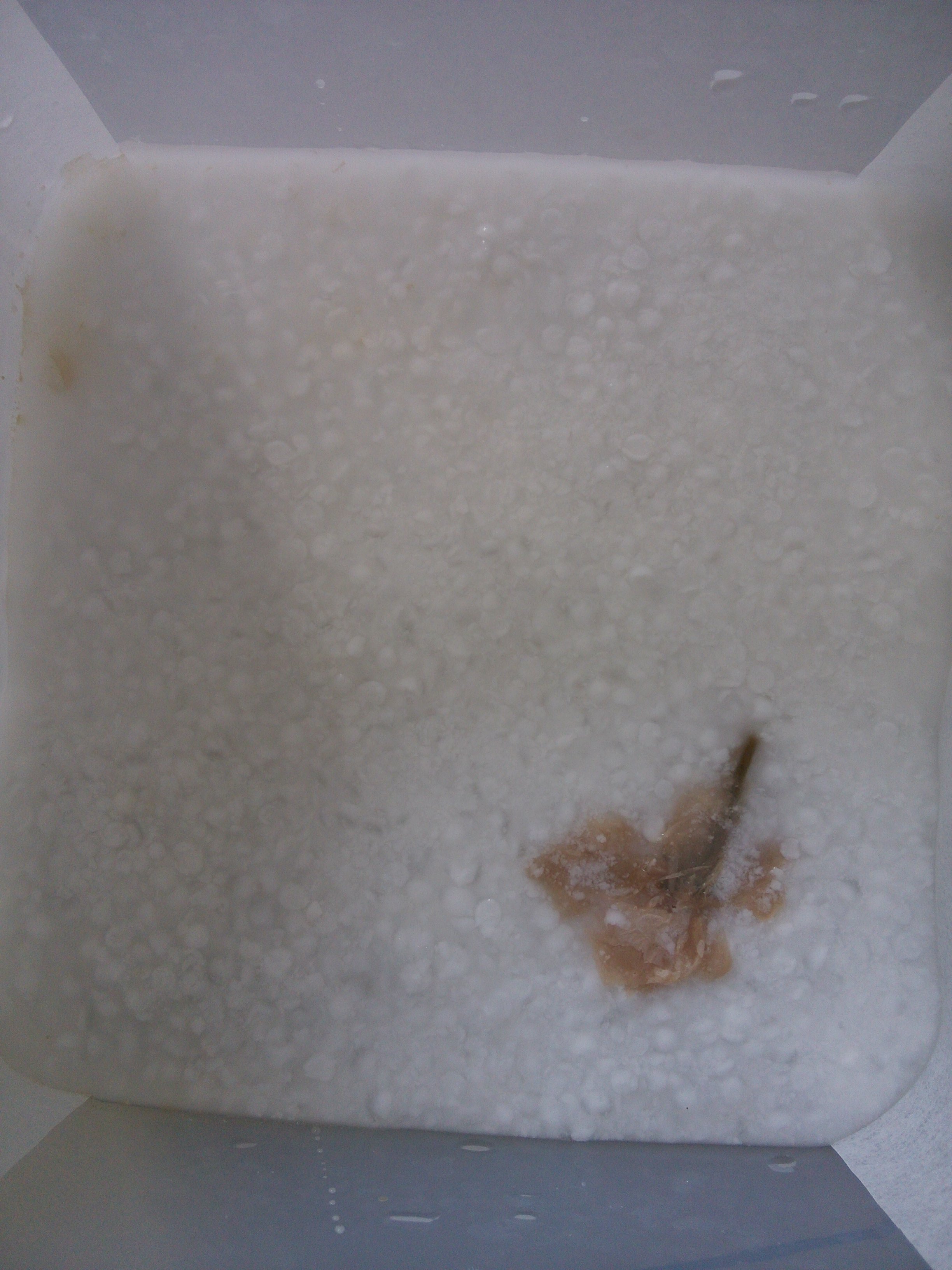 Step 8