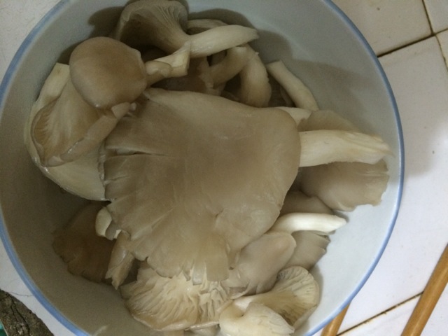 Step 1