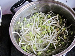 Step 2