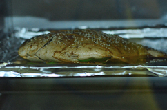 Step 8