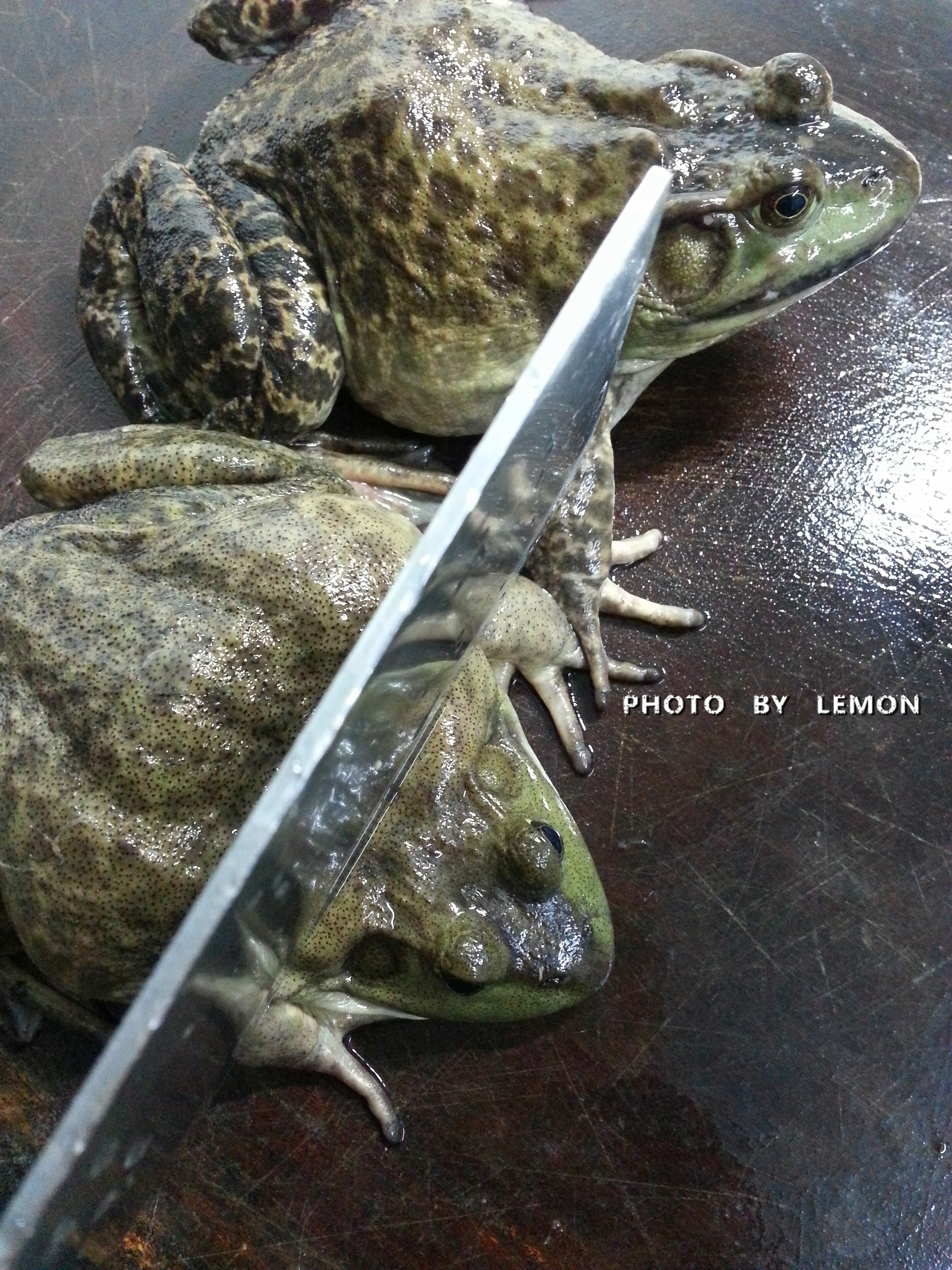Step 3